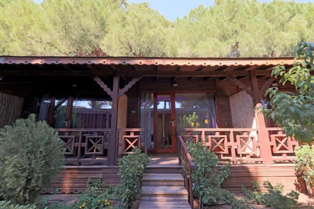 Flora Garden Beach Hotel - Adults Only 16 Plus - Couples Concept Kizilot Exterior photo